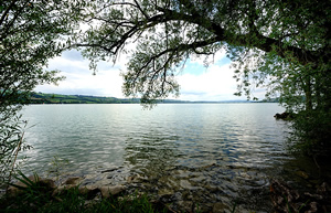 images panoramique